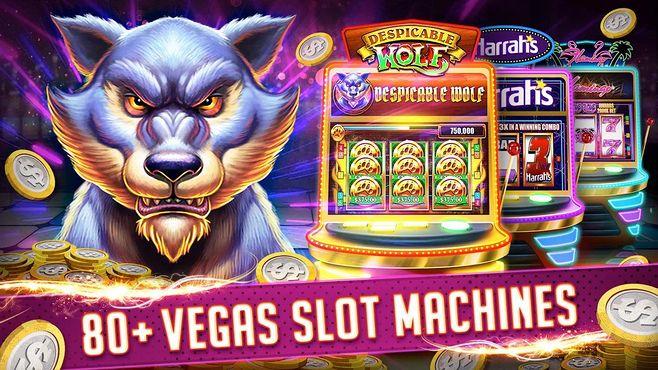 hot646 casino login