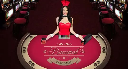 hot646 casino login